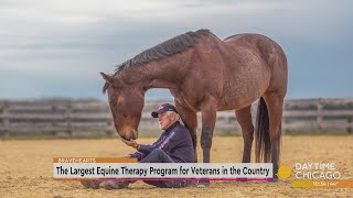 The Largest Equine Therapy Program for Veterans in the Country