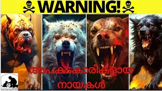 Discover the World's Most Protective Dog Breeds | top 5 dogs Kerala | Malayalam