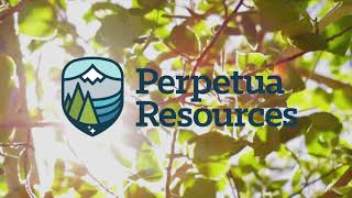 Introducing Perpetua Resources