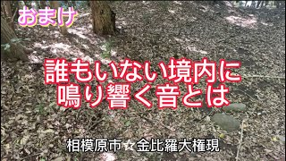 おまけ動画【不思議体験】誰もいない境内に鳴り響く柏手の音…。