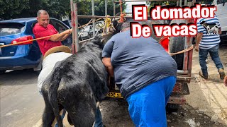 Venta loca de animales en SAN RAFAEL CEDROS El Salvador 🇸🇻 “TIANGUE”