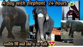 A day with a elephant 😄 | 24hours  | so cute and so excited please watch till kodumudi elephant