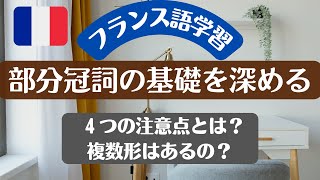 【フランス語学習】部分冠詞の基礎～応用編　使用場面と注意点4つ + 複数形についての考察