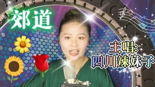 經典老歌~四川辣妹子演唱 (郊道)卡拉ok 歌詞