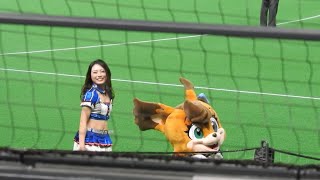 ＜2021.3.17ロッテ戦＞ファイターズガール「Are You Gonna Go My Way」6回裏攻撃前