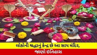 Snake Temple: લોકોની શ્રદ્ધાનું કેન્દ્ર છે આ સાપ મંદિર, જાણો ઇતિહાસ