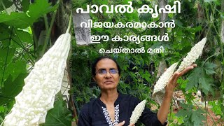 പാവൽ കൃഷിയും പരിചരണവും l പാവൽ പരിപാലനം I Bitter Gourd Cultivation in Malayalam I J's Passion World I