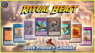 Ritual Beast Deck Profile + Combos  Yu-Gi-Oh! 2024 post BLTR - 100% IQ