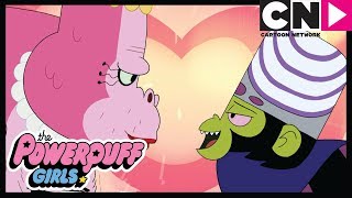 Atomówki | Małpia miłość | Cartoon Network