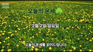 2025년 2월 2일 일요일(쥐,소,범,토끼,용,뱀)