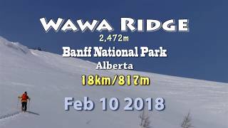 Wawa Ridge - 18km, Banff National Park