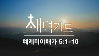 [포항큰숲교회] 24.10.27 새벽기도회