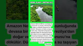 6.438 km. Uzunluğundaki Dünyanın En Büyük Nehri (Amazon)