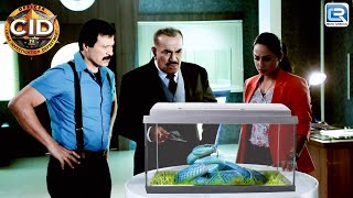 CID कैसे Solve करेगी इस अनोखे जानलेवा सांप का राज | CID | TV Serial | Latest Episode HD