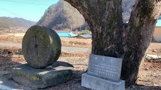 [안동 마을구경] 예안면 인계리 | 향산공원 | 폐교 인계중학교 | 마을숲 | 전두리(바드래마을) 등