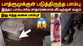 வீடு இப்படி இருந்தால் | தினமும் பாம்புகள் வீட்டிற்குள் வரும் | இதைப் பாருங்கள் | Snake_Saga