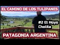 El camino de los tulipanes🌷🌷#2 El Hoyo, Cholila, Patagonia Argentina🇦🇷 🇦🇷