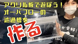 オーバーフローの方必見！！5,000円以内で流動式濾過槽を作ってみたよ♪