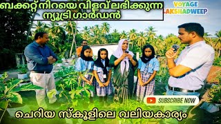 ലക്ഷദ്വീപിലെ സ്കൂളിലെ ജൈവകൃഷി| Nutri Garden| Lakshadweep| Androth Island| India