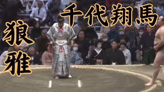 狼雅（二子山部屋）VS千代翔馬 令和7年1月場所7日目#sumo #相撲