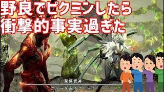 【FF14】野良でピクミンしたら衝撃的事実過ぎた