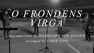 CANTUS: O frondens virga by Hildegard von Bingen (arr. Chris Foss)