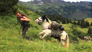 Alpenüberquerung! Mit einem Packtier über die Alpen.  Wanderreiten in den Alpen