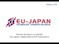 Webinar #32: Horizon Europe in a nutshell - EU-Japan collaborations & IP implications