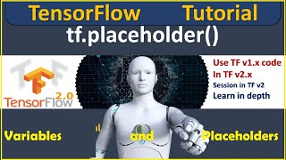 024 TensorFlow : Variables and Placeholders