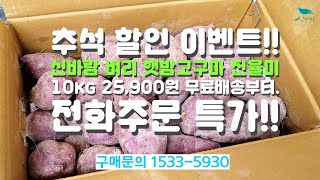 [신바람 농산물 협력농가 판매상품 1533-5930  (신선마켓.com)] 추석할인이벤트 진행중 - 신바람 벼리 햇밤고구마 진율미 3kg 5kg 10kg 판매합니다.