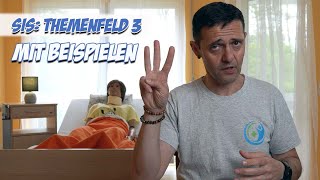 SIS: Themenfeld 3 mit Beispielen | Pflege Modelle | Pflege Kanal