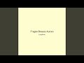 Fragile Breeze Aurora