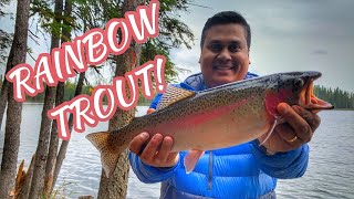 বনের ভেতর গোপন হ্রদে মাছ ধরলাম | Rainbow Trout Fishing At Ted's Lake | Discover Ness Creek | Day 2/2