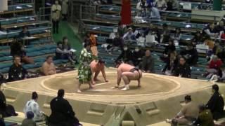 寺尾-安芸乃川/2017.3.12/terao-akinokawa/day1 #sumo