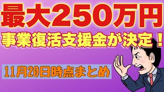 【11月20日時点まとめ】誕生！事業復活支援金！最大250万円法人、個人最大50万円