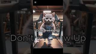 Motivational Video | Don’t Give Up | Cat Lovers #cat #motivation #viralvideo #catlovers