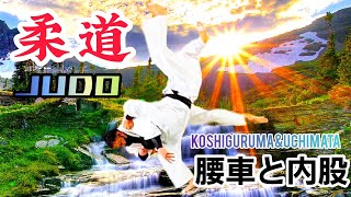 #Shorts柔道部【腰車＋内股の独学技術!参考迄】Koshi guruma + Uchi mata self-study technique!