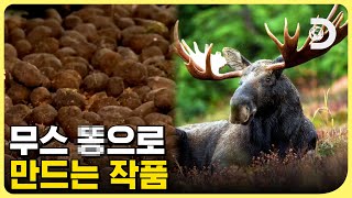 피자 배달을 개 썰매로 하는 겨울왕국❄ 알래스카에서만 만날 수 있는 독특한 것들! [지구에 무슨 129] EP.5