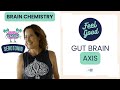 Leaky Gut Leaky Brain | A GUT-BRAIN Approach to Boost Your Mood | Serotonin