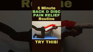 5 Minute Exercise Routine for Back Pain and Disc Pain Relief (L4-L5 Disc Bulge) | Dr. Walter Salubro