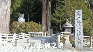 日本和歌山縣 高野山 奧之院#日本生活#日本旅行#日本留學