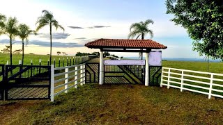 🌱 112 ALQ EM BRASÍLIA - FAZENDA À VENDA NO DISTRITO FEDERAL [🌱DUPLA APTIDÃO🐄] #agro #fazenda #soja