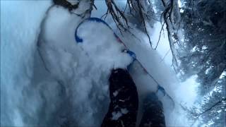 The day I snowboarded into a tree hole