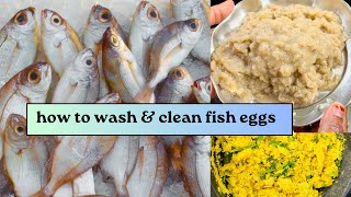 How to clean and wash fish eggs | மீன் முட்டை சுத்தம் செய்வது எப்படி 🐠💥