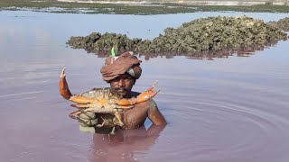 நண்டு பிடிக்கும் இடத்தில் நடந்த மோசமான காட்சி | நண்டு மாமா