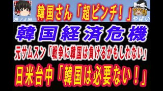 【ゆっくり解説】元サムスン役員「半導体戦争に韓国は負けるかもしれない」  #ゆっくり解説 #韓国 #韓国経済