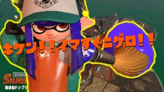 逃げるんだァ...　野良おシャケ　雑談　【splatoon2】