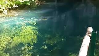 Krupaja spring (Krupajsko vrelo) - Despotovac-Zagubica (Marko Burazor)