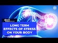 Long Term Effects of Stress on Your Body Long Term Effects of Stress on Your Body