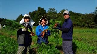 完全自然農法の楽しみと学びの農園（千葉県我孫子市）